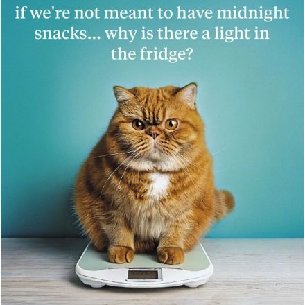 16cm Birthday Cat Weighing Scales Greeting Card,