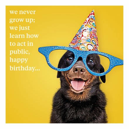 Labrador We Never Grow Up Greeting Card, 16cm