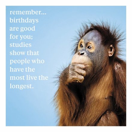 Chimp Birthday Greeting Card, 16cm