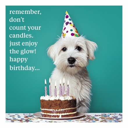West Highland Terrier Greetings Card,16cm