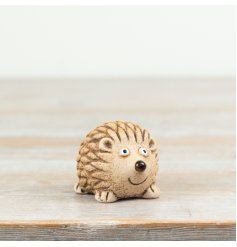 Bring joy to your space with this delightful Hedgehog Smiley Face Ornament.