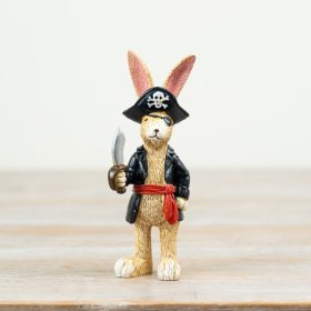 pirate jasoer rabbit bunny 