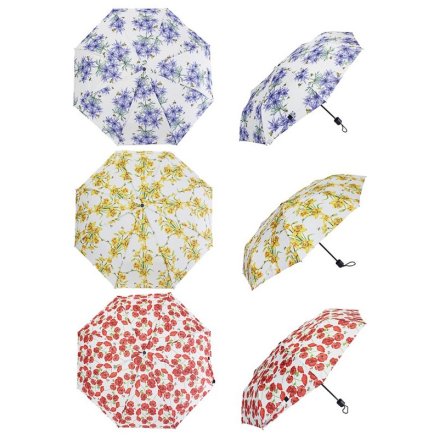 3/A Beetanical Folding Umbrella, 25cm 