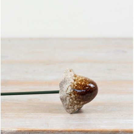 Discover the Reactive Brown Chanterelle Mushroom 