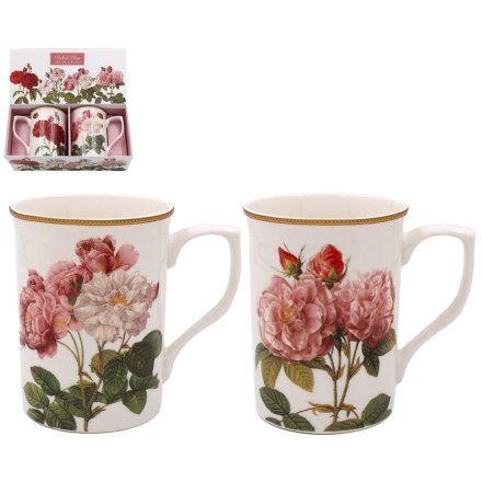 S/2 Redoute Rose Mugs, 11cm 