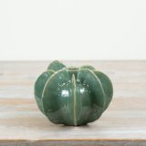 Add rich seasonal colour to your interiors collection with this glazed vessel vase.