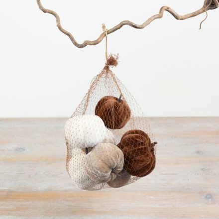Cozy fall vibes with brown & white pumpkins in a mesh bag, ideal for seasonal decor.