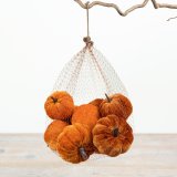 View Velvet Orange Pumpkin in Mesh Bag, 17cm Details Add autumnal charm to your décor with this soft velvet pumpkin in a mesh bag