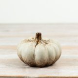 View Cream Pumpkin Decoration, 9cm Details Add a touch of autumn elegance with this cream pumpkin decoration,