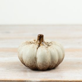 Bring autumn charm with this elegant cream pumpkin decor piece.