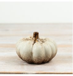 Add a touch of autumn elegance with this cream pumpkin decoration,