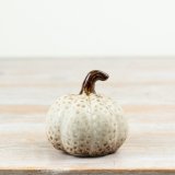 Add a cozy autumn touch with this charming pumpkin decoration