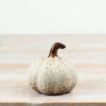 Cream Speckled Pumpkin, 7.5cm 