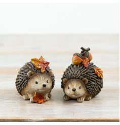 Adorable resin hedgehog brings warm, rustic fall vibes to your home decor.