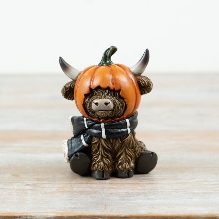 Highland Cow Pumpkin Head Decoration, 11.5cm