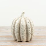 Add autumnal charm to your home with this elegant pumpkin