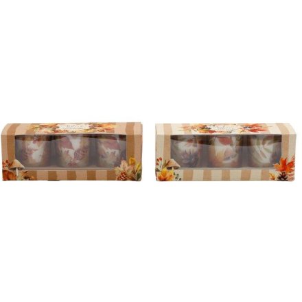 S/3 Autumn Spice Votive Candles 2/a 