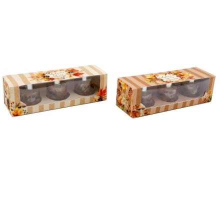 S/2 Autumn Spice Diffuser, 30ml