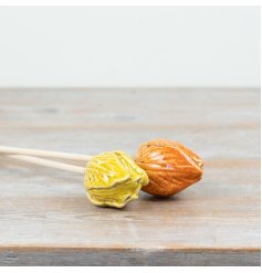 Add a splash of colour to your home or garden with this speckled yellow and orange tulip