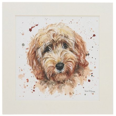 20cm Candy Cockapoo Mounted Print