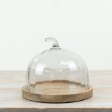Elegant cake plate with a natural wood base and clear glass cover perfect for showcasing cakes 