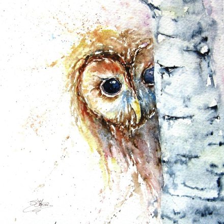 Peek A Woo Owl Greeting Card, 15cm 