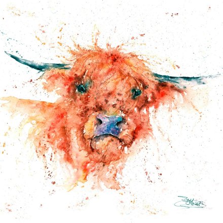 Angus Highland Cow Watercolour Card, 15cm