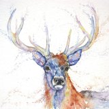 Brighten any occasion with the Monarch Stag Greeting Card by Sandi Mower