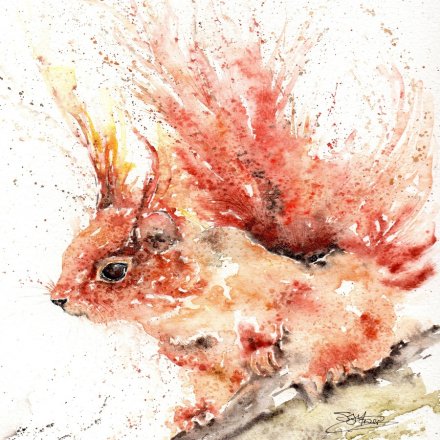 15cm Hamish Red Squirrel Greeting Card