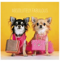 Adorable Absolutely Fabulous Chihuahua Greeting Card with charm and style.