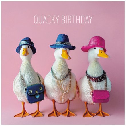 Quirky Quacky Birthday Card, 16cm
