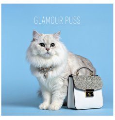 A classy greetings card perfect for a cat lover/ glitzy friend.  