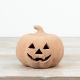 Add a charming autumnal touch with this terracotta pumpkin