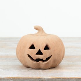 Bring cozy fall vibes with this lovely terracotta pumpkin decoration.