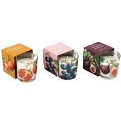 An assortment of 3 beautiful fragranced candles, each with a colourful picture gift box and glass jar. 