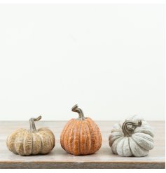 Chic collection of resin pumpkin decor for festive and elegant seasonal accents.