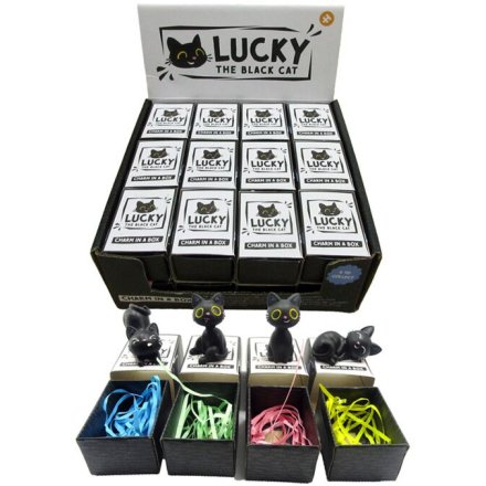 Discover magic and luck with the Lucky The Black Cat Charm In A Box