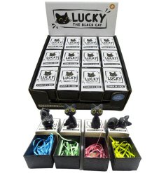 Discover magic and luck with the Lucky The Black Cat Charm In A Box