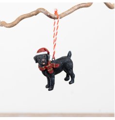 Charming black dog adornment with cosy scarf and Santa hat perfect for your Christmas tree