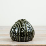 Add coastal charm to your space with this 10 cm Sea Urchin Vase in rich dark green porcelain