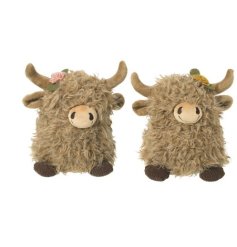 A fluffy mix of 2 highland cows displaying rugged soft fur and a floral spring in their mane. 