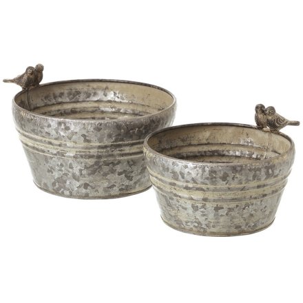 Set of 2 Rustic Metal Buckets with Bird