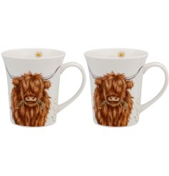 Sip in charming Scottish style with the Highland Cow Mugs 