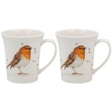 Savor your favorite hot beverages with the delightful Robins Mug Set of 2.