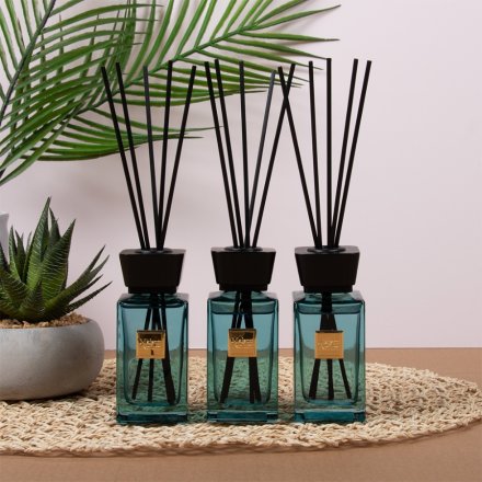 Set of 3 Neroli Diffusers, 10cm