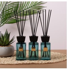Enhance your room’s ambiance with the Neroli Diffuser Set of 3.