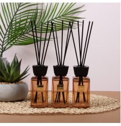 Enhance your space with the stylish Diffuser Ombre Nomad Set 3.