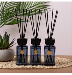 Bring coastal charm and tranquility to your space with the Azure Diffusers 