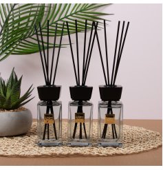 Enhance your home with the Suave Diffusers Set 3