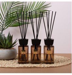 Indulge in serenity and elegance with our Oud Wood Diffusers.